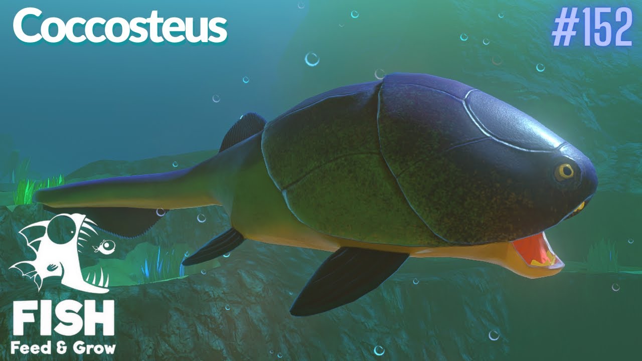 Feed And Grow Fish : Coccosteus