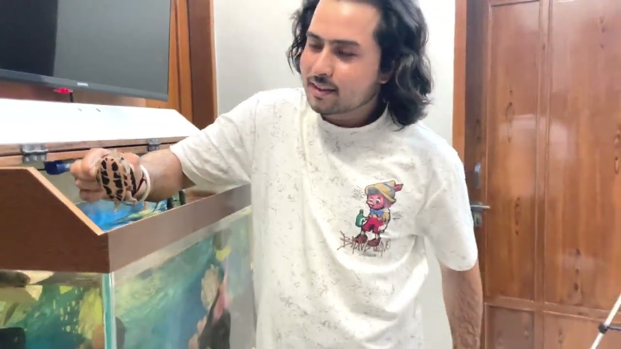 How to clean fish aquarium at home?                 Fish aquarium को घर पर कैसे साफ करें?