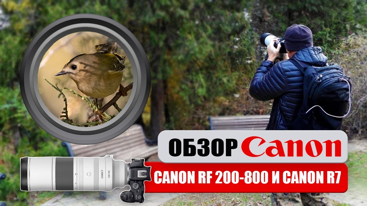 Обзор Canon RF 200-800. Опыт эксплуатации в паре с  Canon R7.