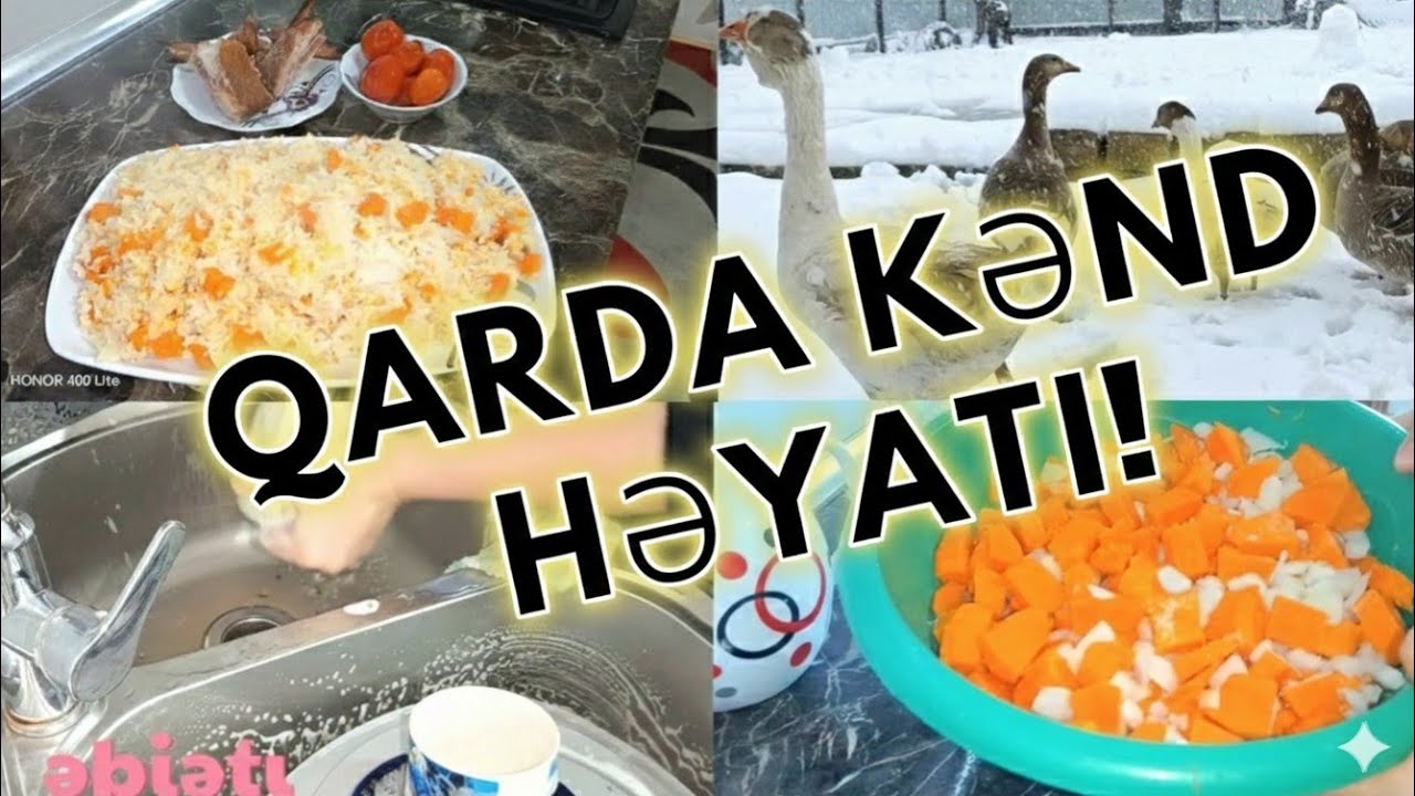 Qarda Kənd Həyatı: İsti Boranı Plovu və Ev İşləri ❄️🥘​#kəndhəyatı #boranıplovu #vlog #kəndvloqu 