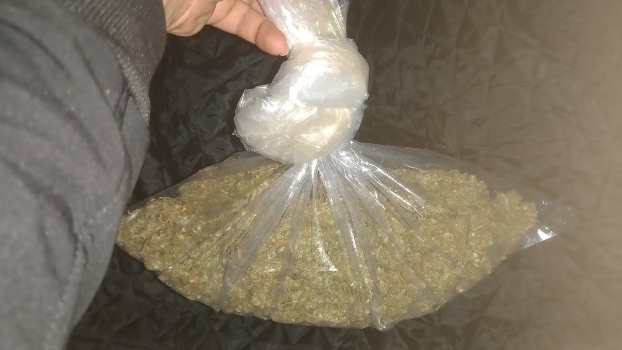 1pound o.g kush legalize cannabis Nepal #strains#hunters