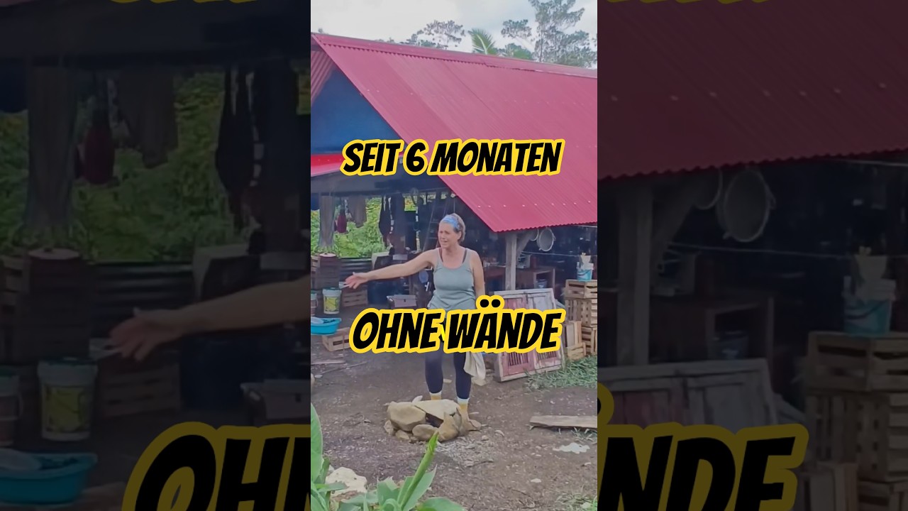 Seit 6 Monaten im Haus ohne Wände leben 