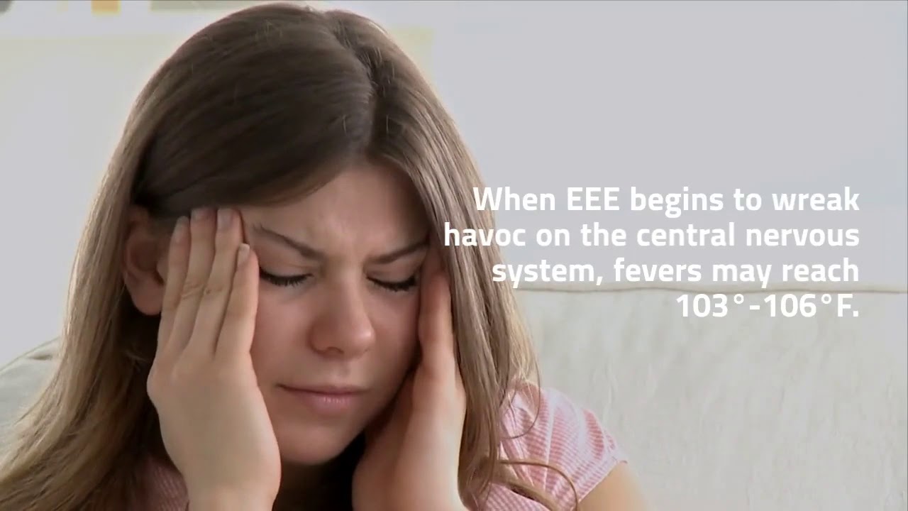 EEE Virus 2019: Facts, Symptoms, and Natural Prevention EEE Virus 2019