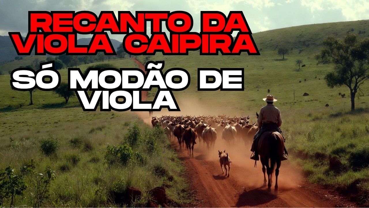 RECANTO DA VIOLA CAIPIRA - SÓ MODÃO DE VIOLA -  MUSICA