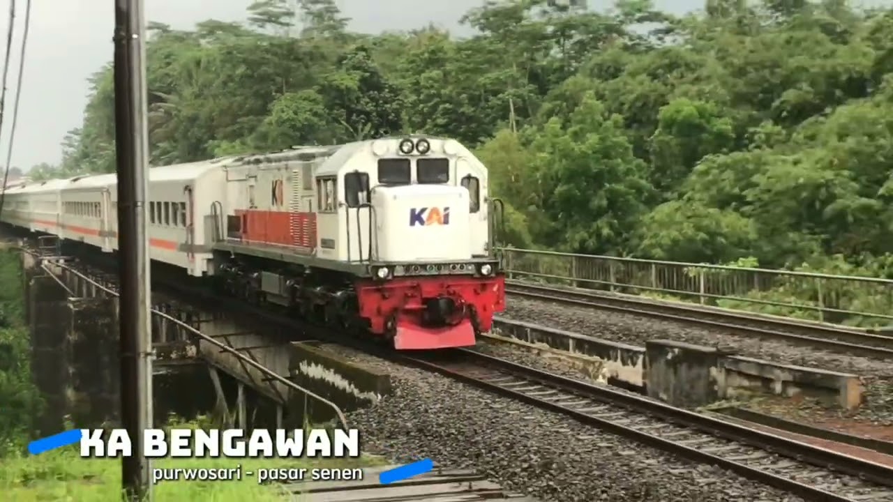 KERETA API PANJANG ‼️ MENEMUKAN 20 KERETA API NGEBUT DI TIKUNGAN