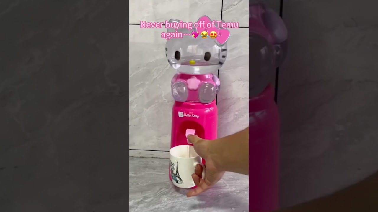 Temu Victims: When Shopping Goes Wrong!😂 temu temufinds online shoppi