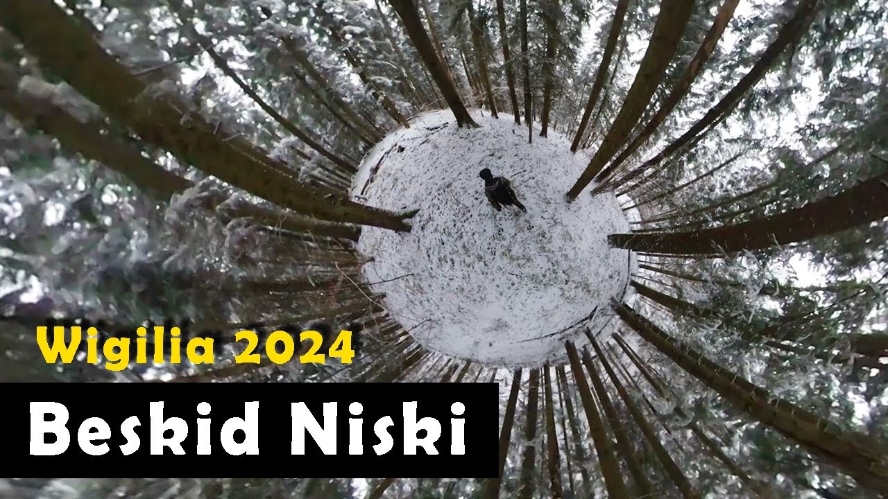 Wigilijny spacer po lesie Beskidu Niskiego