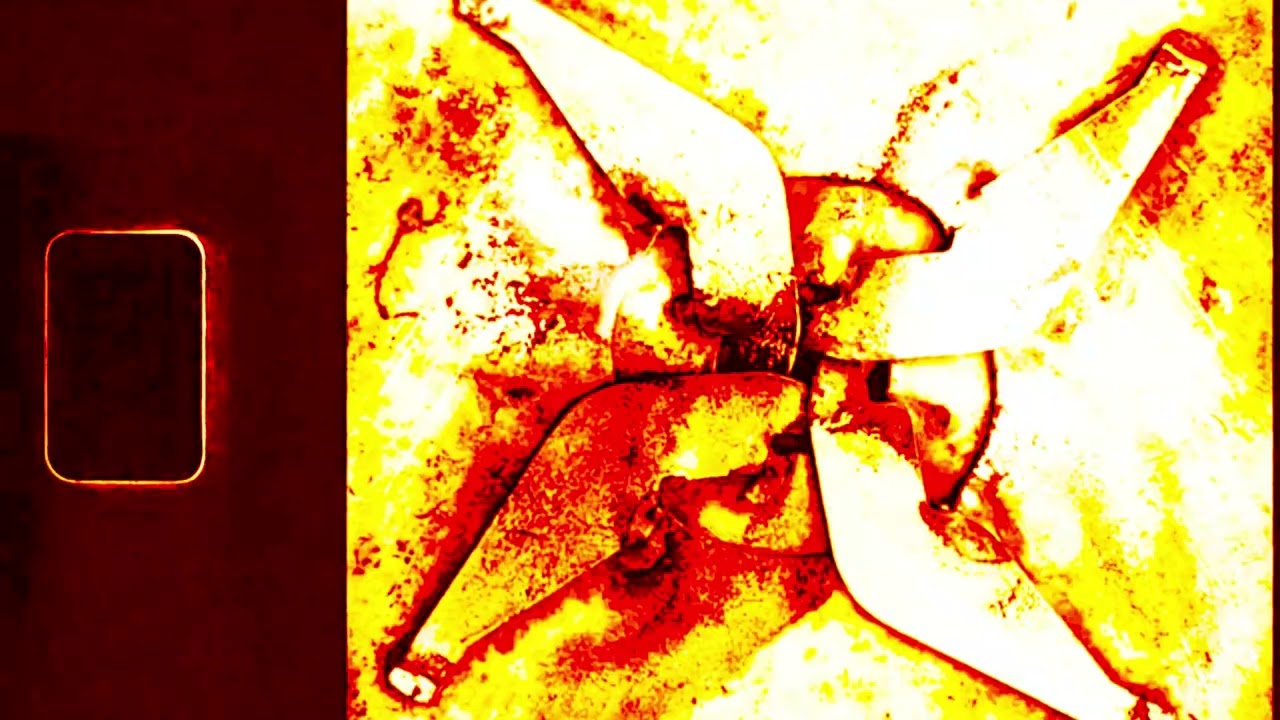 Walmartians   Signal Fragment
