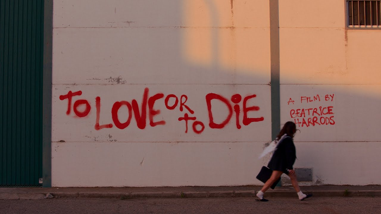 To Love or to Die - A Short Film