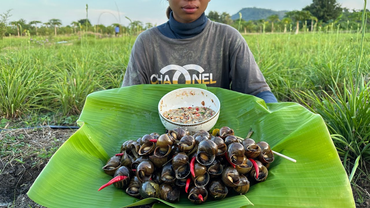 ខ្យងស្ងោទឹកដូង មានរសជាតិឈ្ងុយឆ្ងាញ់￼ Chhom Sreypach - ឆម ស្រីផាច