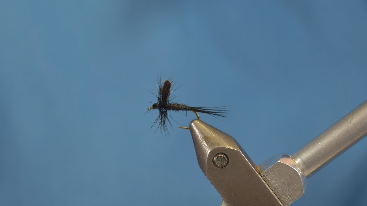 Montage de la Black Gnat - Mouche sèche