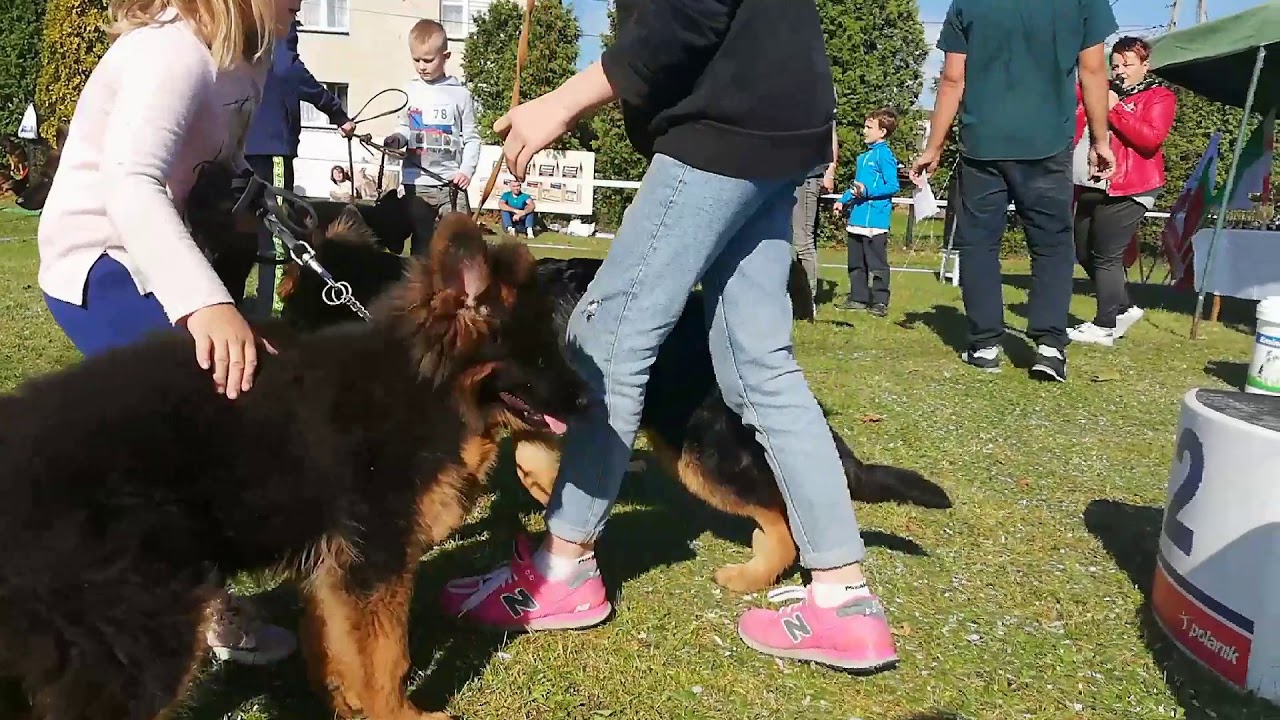 Konkurencja Młody Prezenter na Wystawie w Rybniku