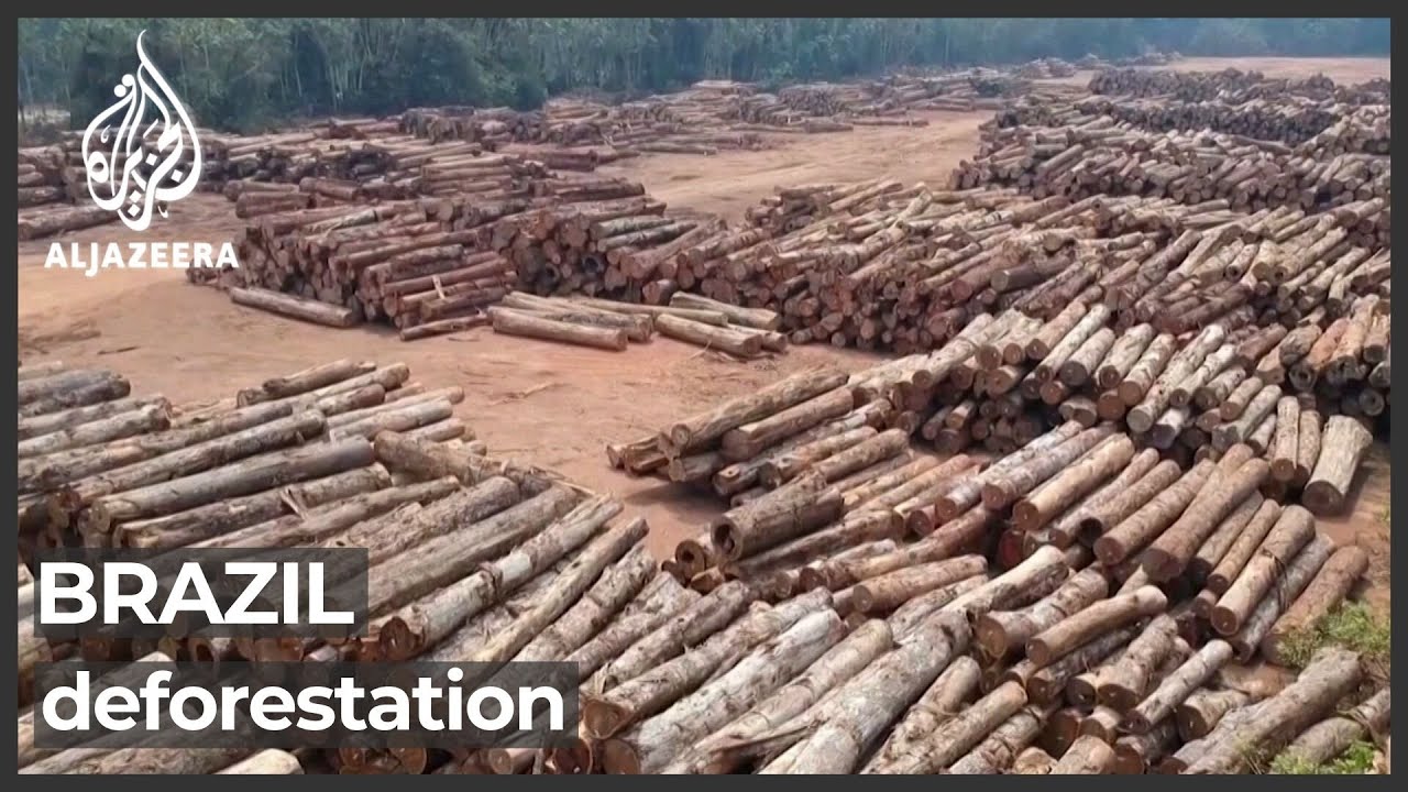Brazil deforestation crisis likely to be worsened by drought, fires