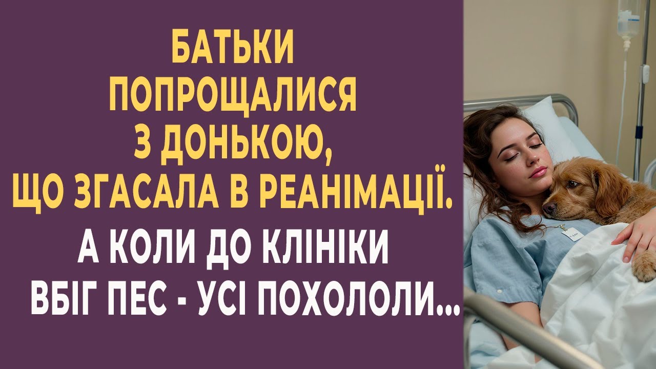 Батьки прощалися з донькою в реанімації. Але коли вбіг пес — сталося неймовірне...