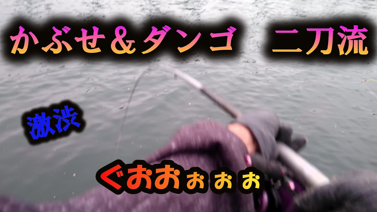 テツ丸の激渋釣り！二刀流でチヌ＆コブダイ狙い、結果は…？