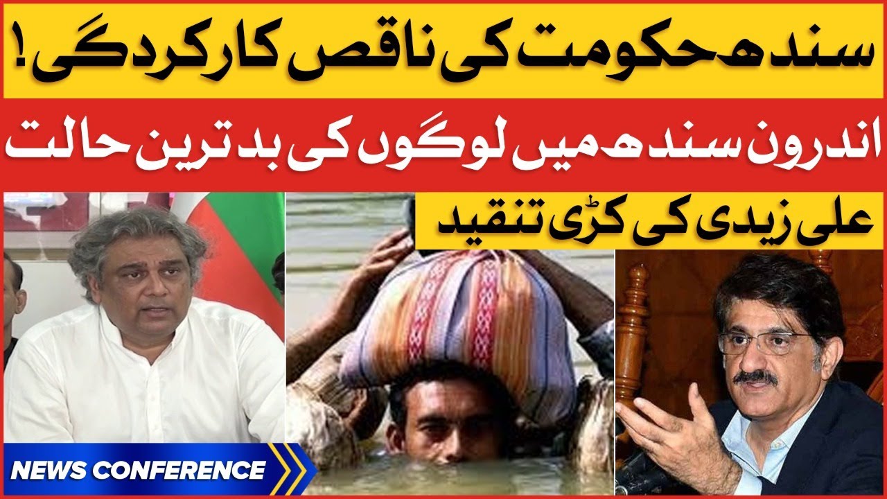 Sindh Government Bad Performance | Worst Condition In Interior Sindh | Ali Zaidi News Conference