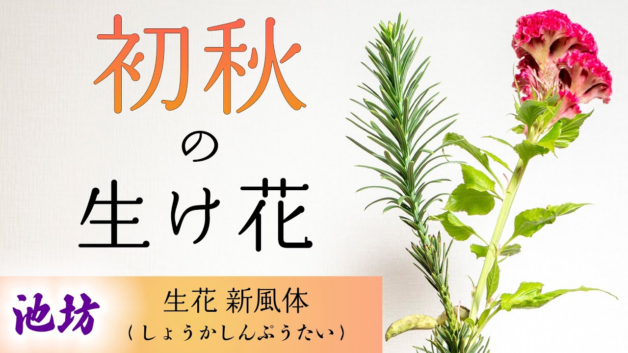 初秋の生花新風体│石化鶏頭、朝鮮槙など【池坊 生け花】