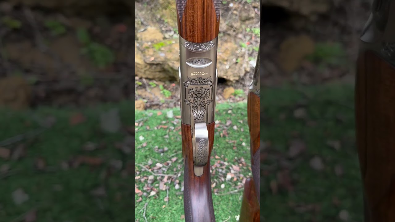 What Gun Did David Pick On His Trip To Spain?