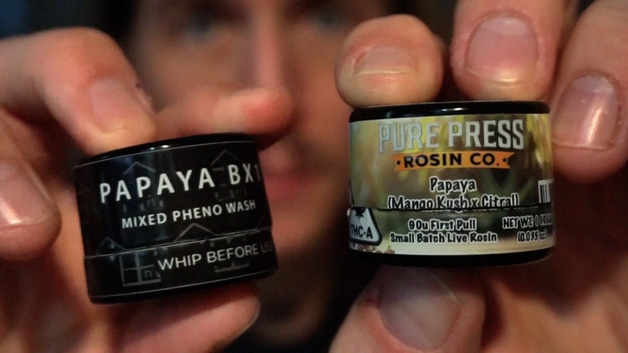 THCa vs. Dispo: Which rosin tastes better?