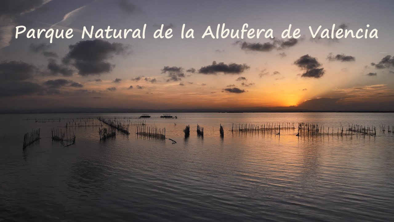 Wild Spain - Capítulo 174 - Parque Natural de la Albufera de Valencia.