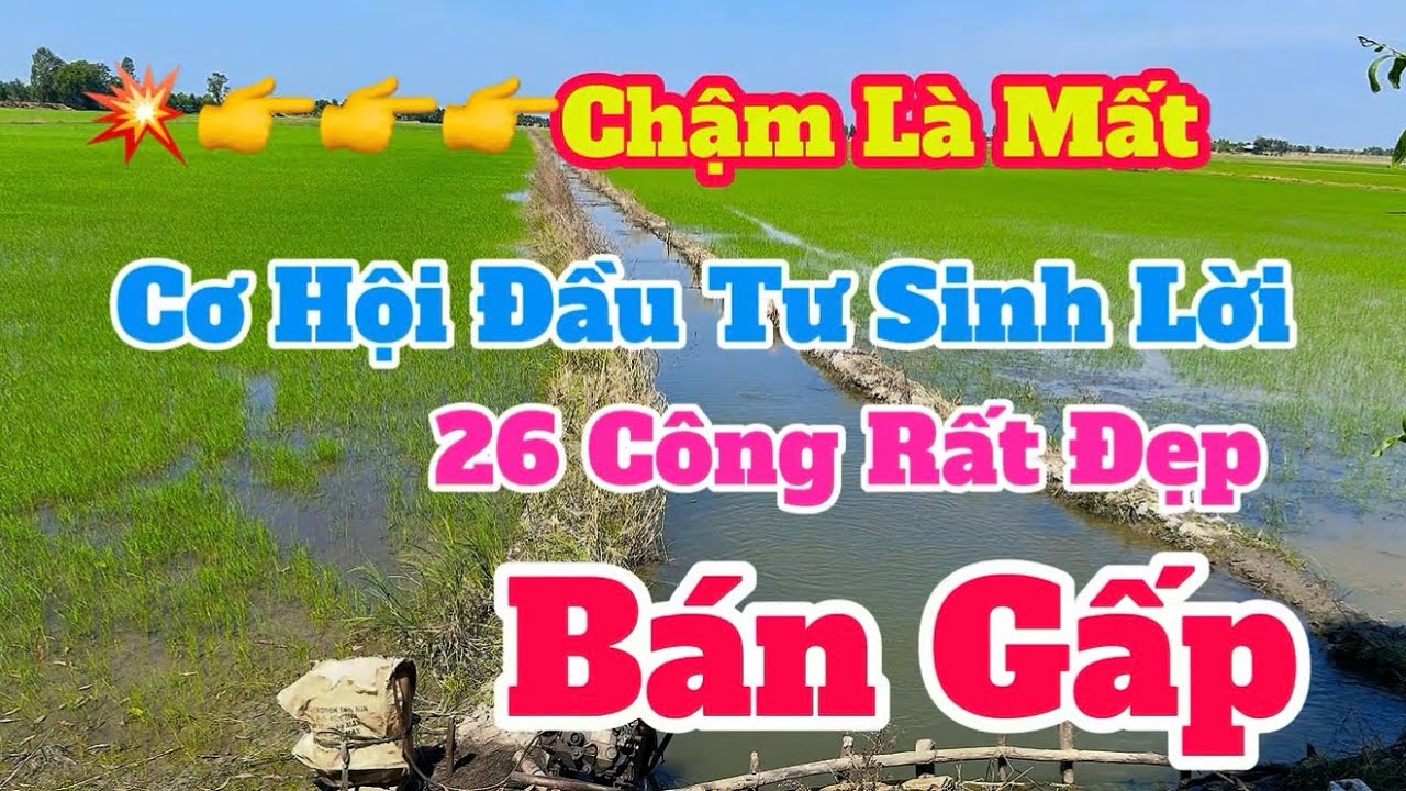 (Số 891) 26.000mv 💥Trên Cả Tuyệt Vời👉 Một Vị Trí Rất Hiếm☘️Trồng Vườn Hoạt Đầu Tư Làm Nhà Vườn