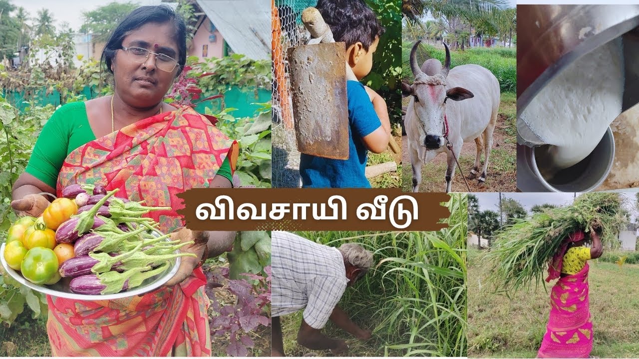 விவசாயி வீடு | Village life | Traditional life | tamil | farming | vlogs | ASMR | Family