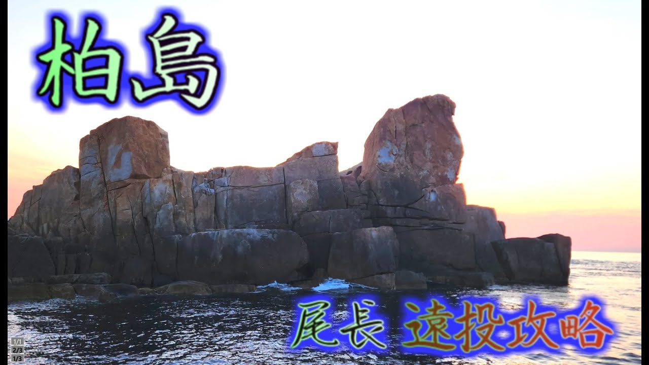 柏島尾長遠投攻略