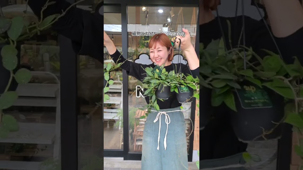 【ホヤ祭り開催します！】今週の新入荷商品をちら見せ！2026.04.16~