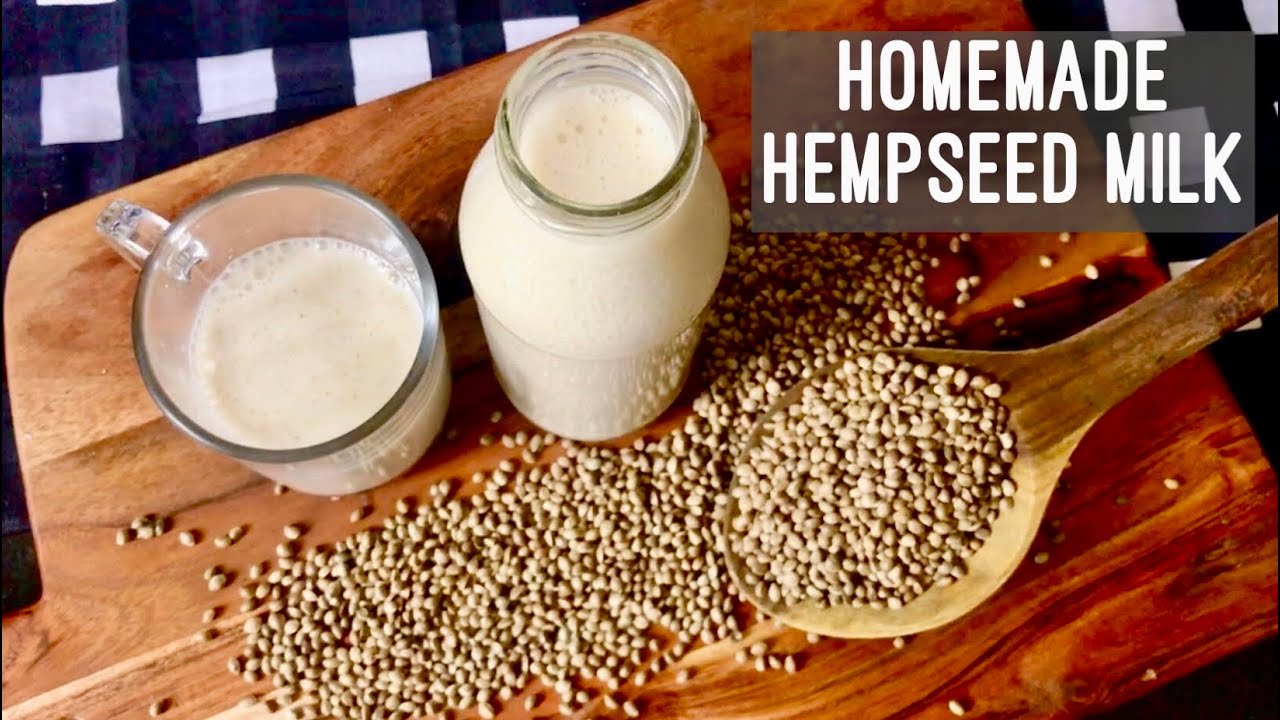 Homemade Made Hempseed Milk | How to Make Hemp Seed Milk at Home | Vegan High Protein Milk
