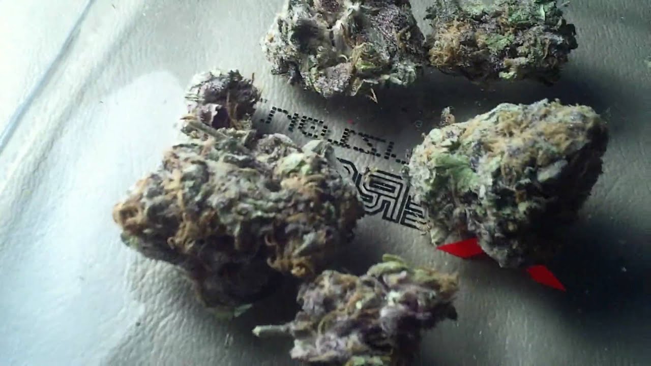 FROSTY PURP NUGS IN HD ((GRAPE APE BABY))-&brvbar;-((MIDWEST KILLA CITY SMOKE))