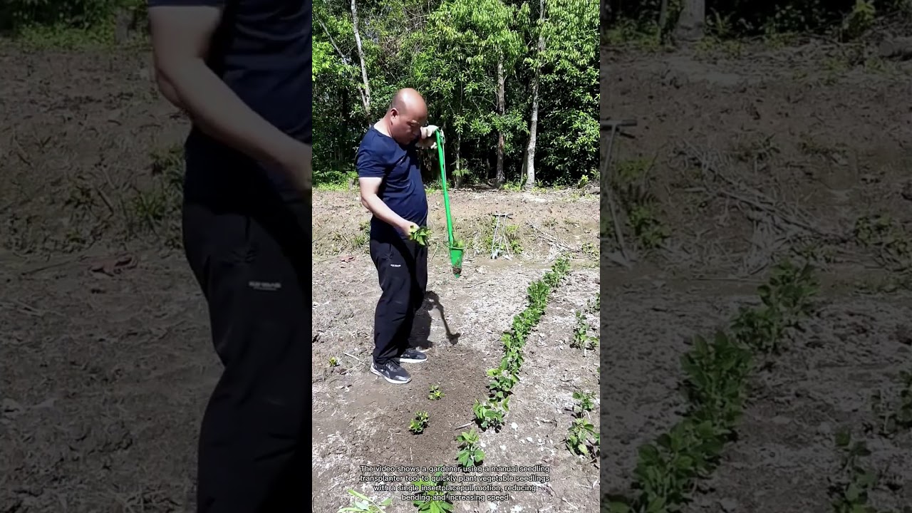 How to Transplant Seedlings Efficiently&nbsp;| Multi-Functional Vegetable Transplanter