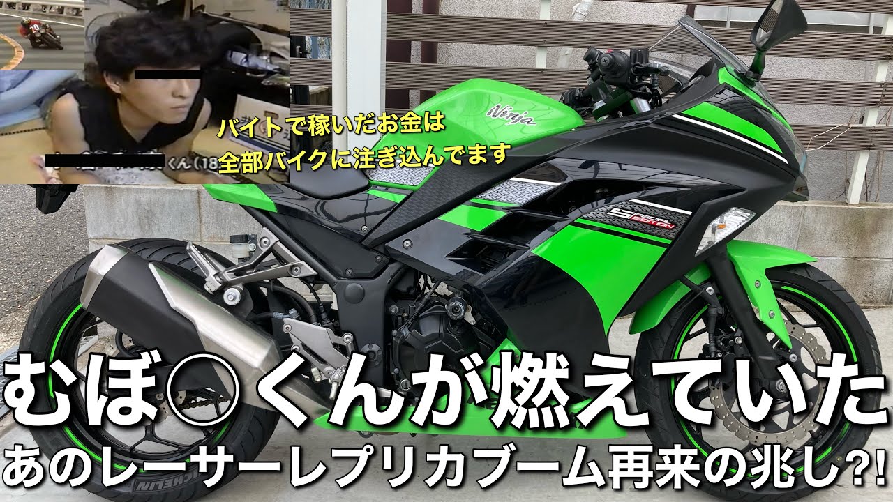 【Ninja250】レーサーレプリカブーム再来⁈の火付け役の進化版