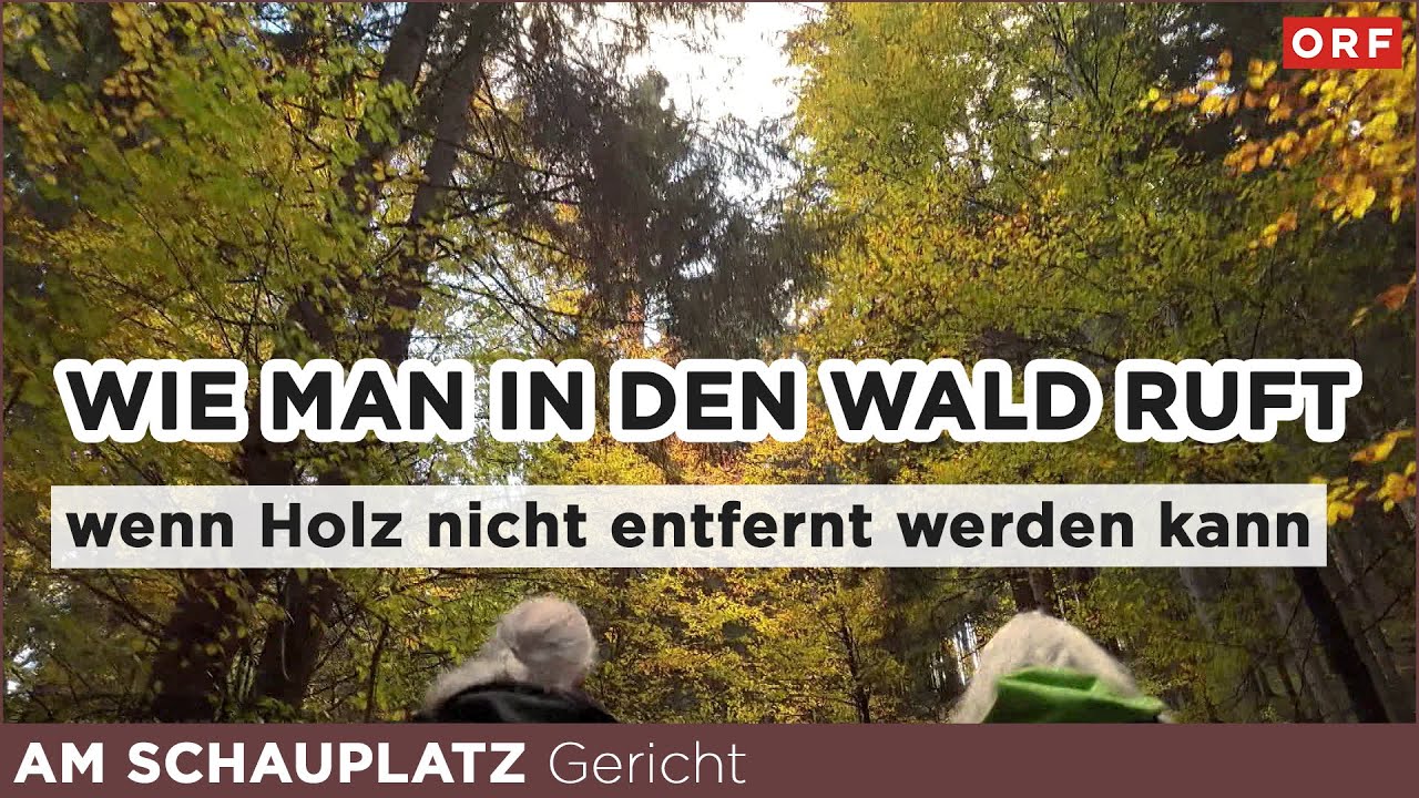 Durchfahrt verweigert - wenn das Holz im Wald bleibt | Am Schauplatz Gericht 11.12.2025