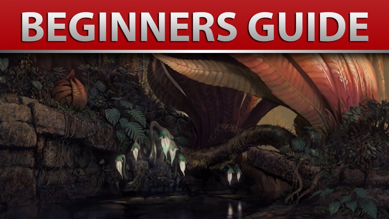 Guild Wars 2 - Visual Guide To Guild Wars 2 - Beginner guide - The Basics