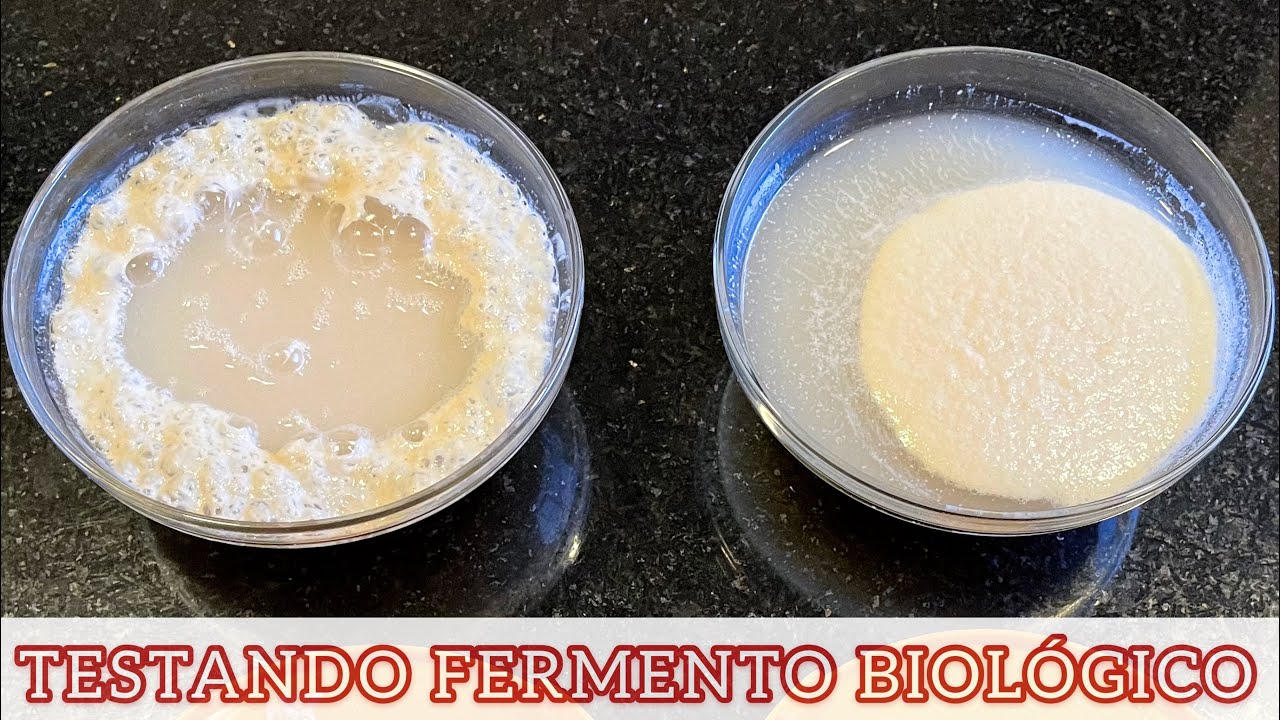 COMO VER SE O FERMENTO BIOLÓGICO SECO ESTÁ BOM - TESTE RÁPIDO E FÁCIL