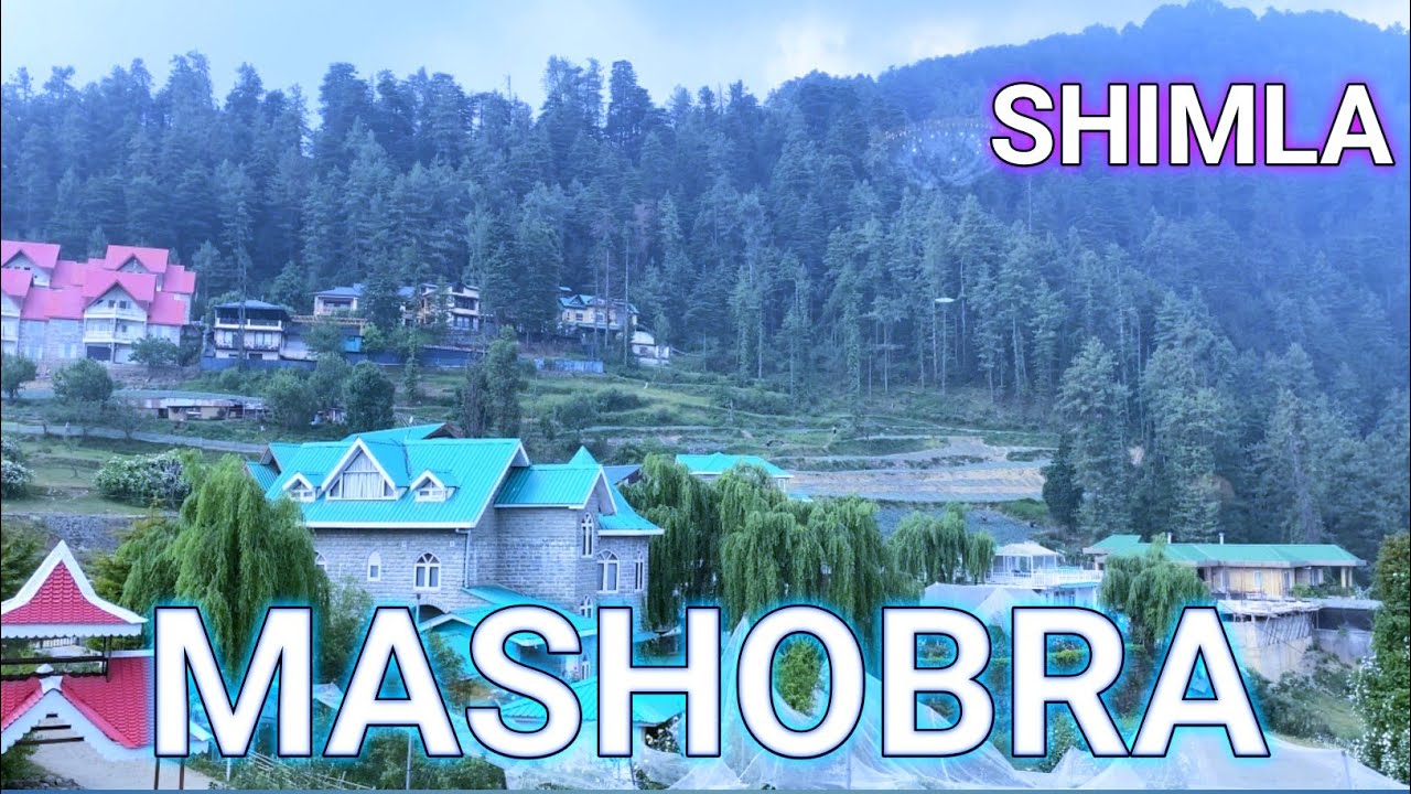 Mashobra Shimla | Mashobra | Mashobra Vlog | Places To Visit In Mashobra | Hotels Price | Shimla
