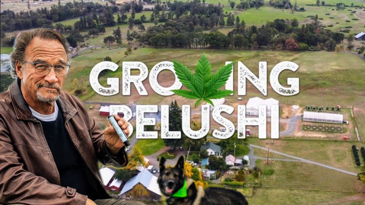 Growing Belushi: From Seed to Smoke | HD