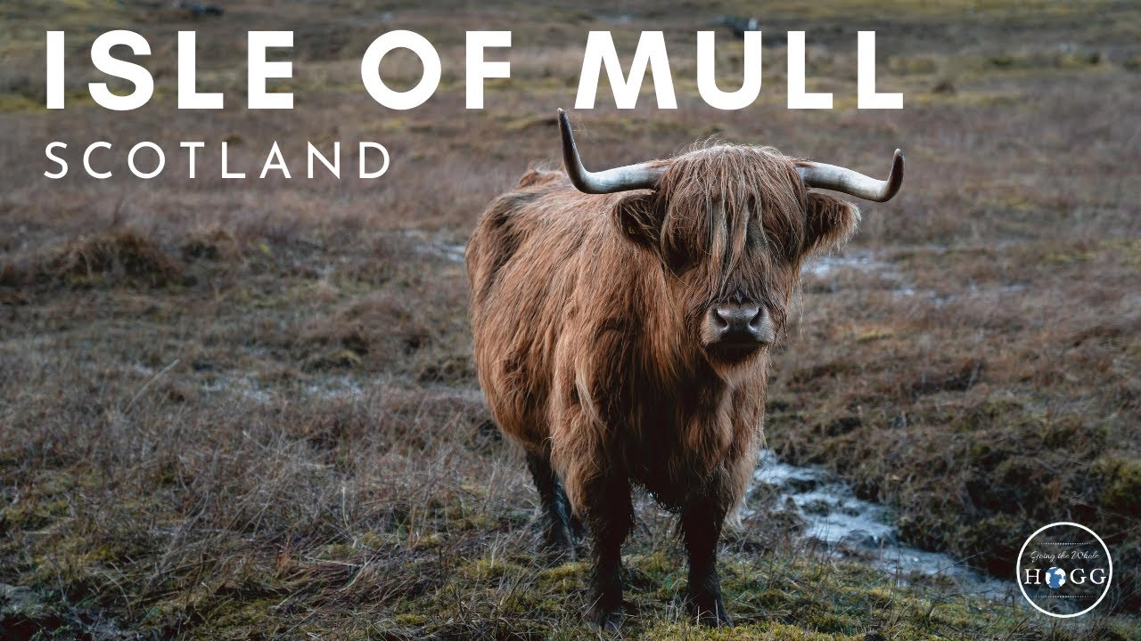 Isle of Mull Winter Camping Road Trip, Scotland (film + guide)