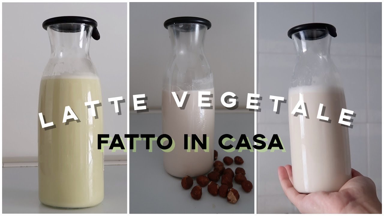 Come fare il latte vegetale in casa 🥛