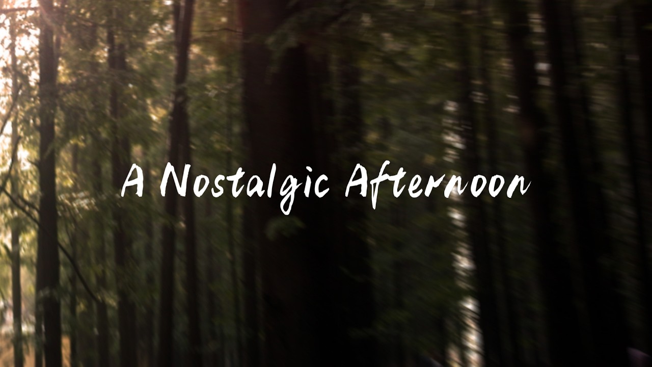 Nostalgic Afternoon | Deep Focus, Study and Healing, 432Hz, Minimalist Piano