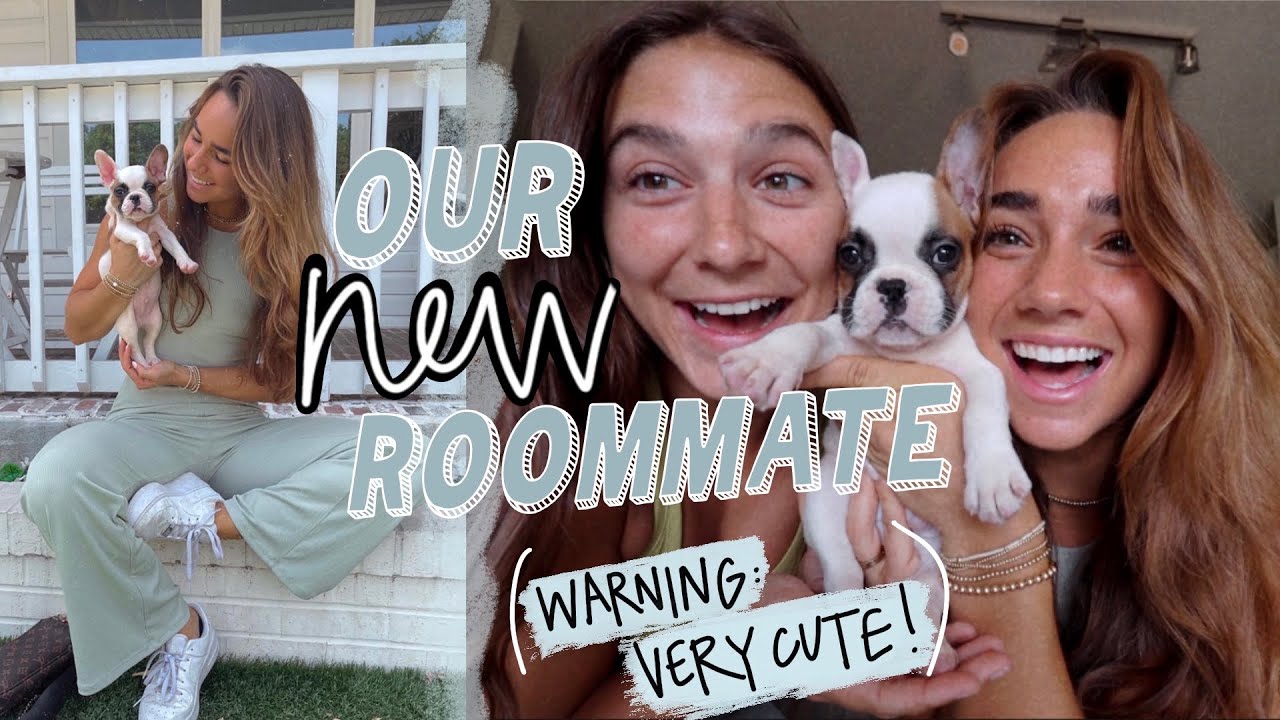 MEET OUR NEW TINY CUTE ROOMMATE | weekend vlog