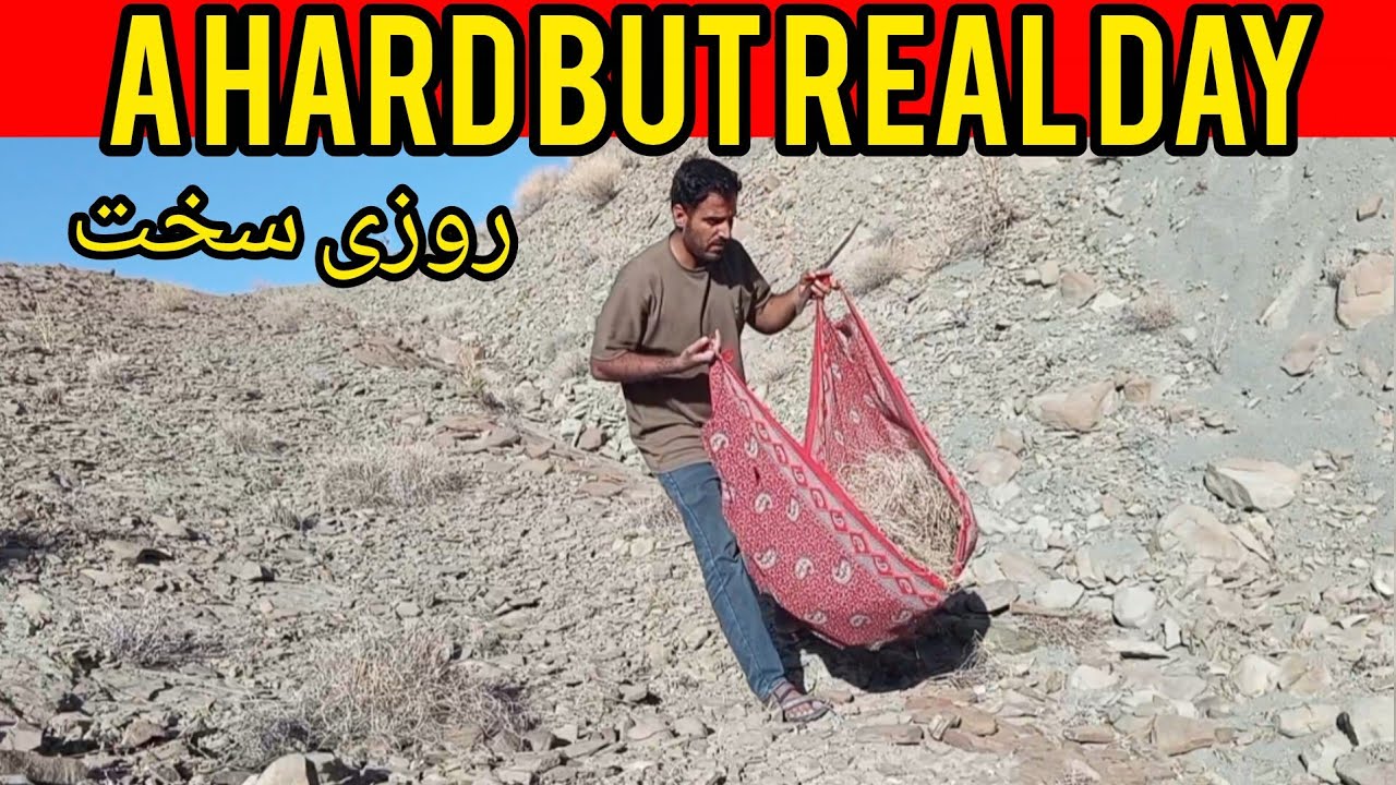 Gathering fodder for animals / rural life /رفتم کوه برای جمع کردن علوفه الاغ و بزها | زندگی روستایی