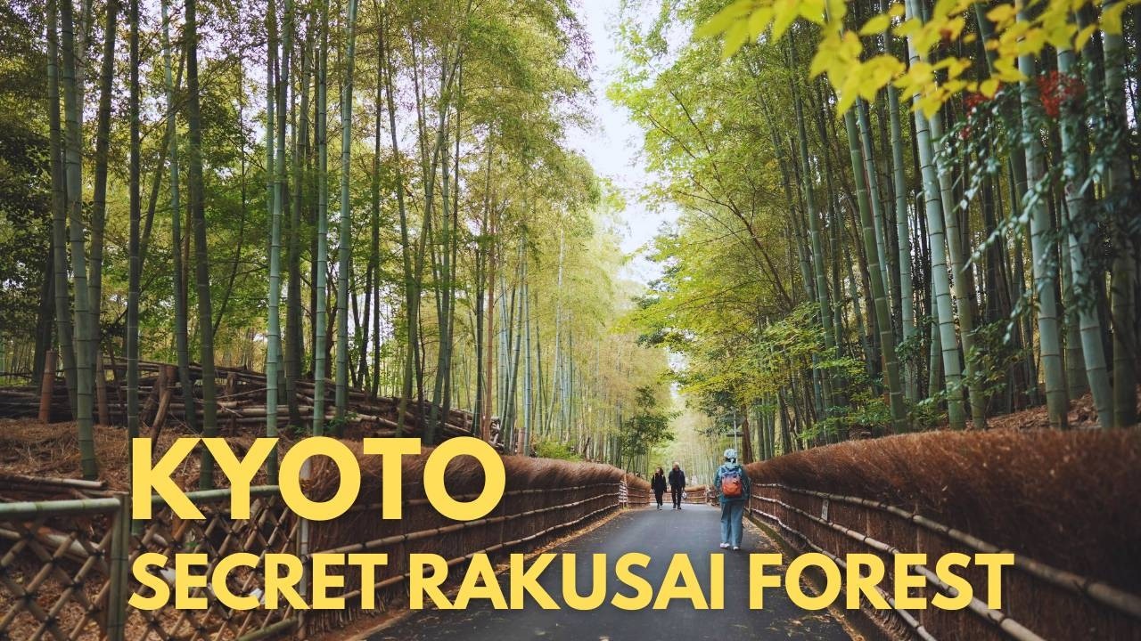 Autumn in Kyoto: Mt.Takao and the Secret Rakusai Forest