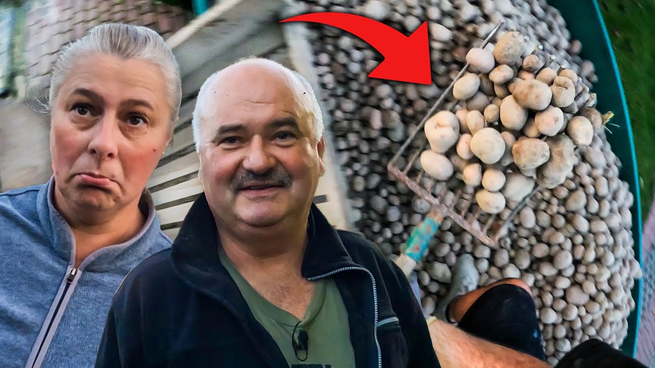 WRZUCANIE ZIEMNIAKÓW do PIWNICY
