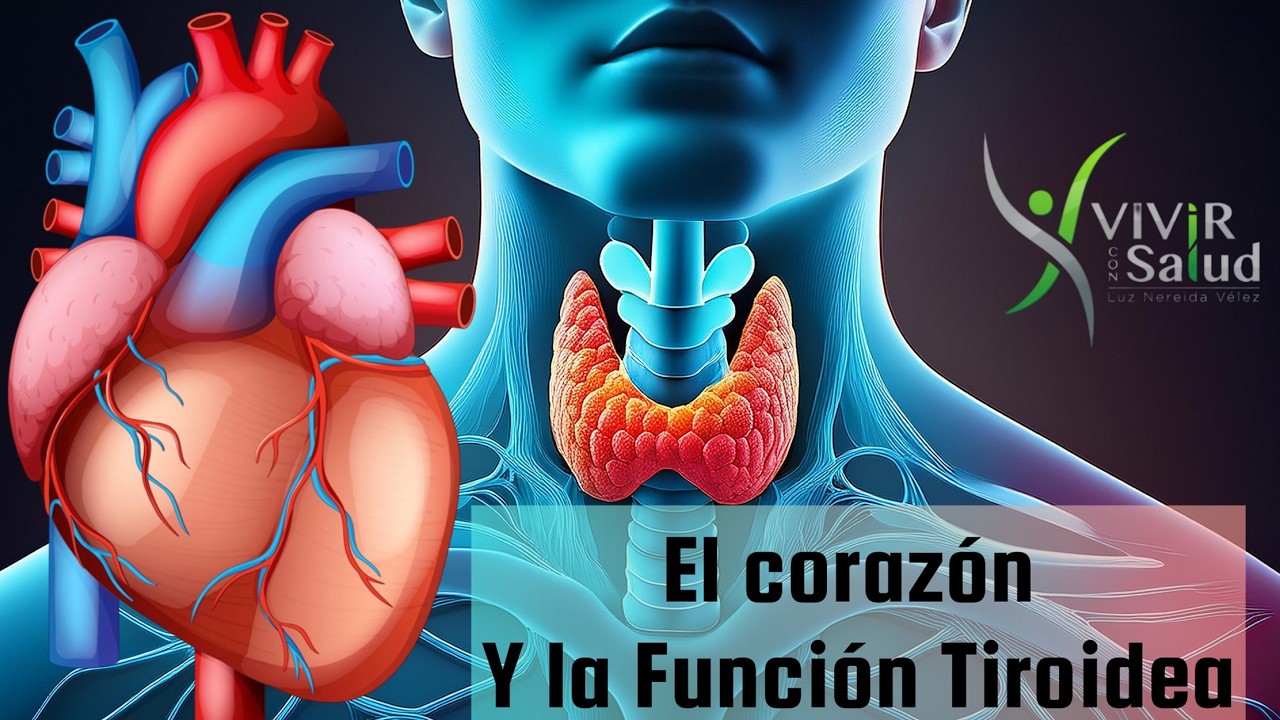 EL CORAZON Y LA FUNCION TIROIDEA