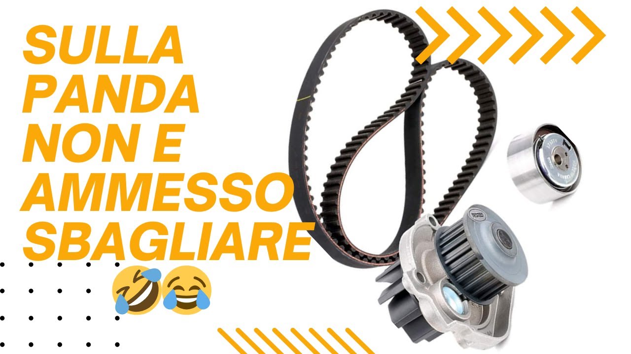 Distribuzione fiat panda 1,2 benzina anno 2012   @dominikautomotive