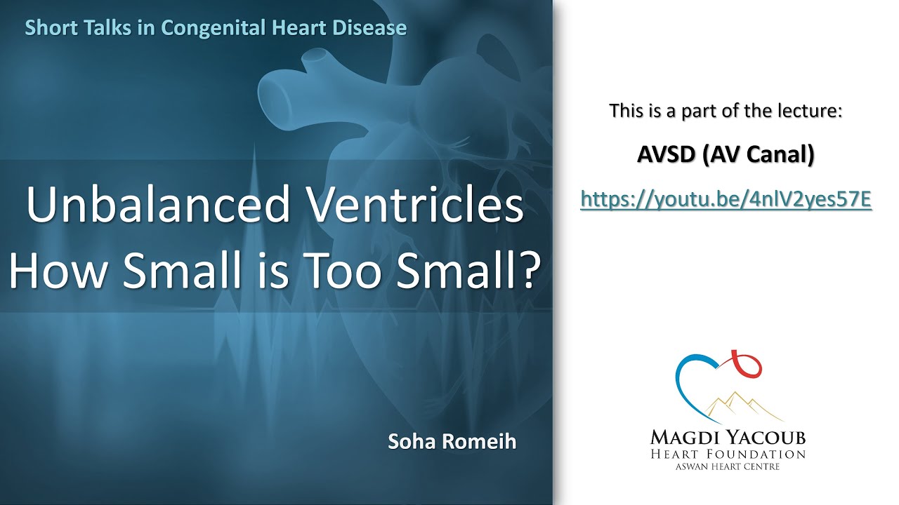 Unbalanced Ventricles - How Small is Too Small? - Soha Romeih