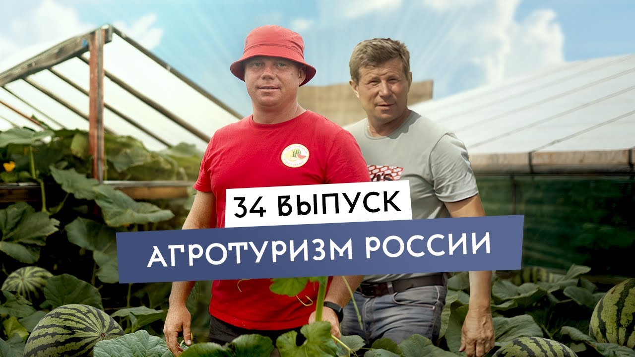 Как агротуризм помогает бизнесу. Семейная бахча: прибыльное дело или развлечение? Пономарево