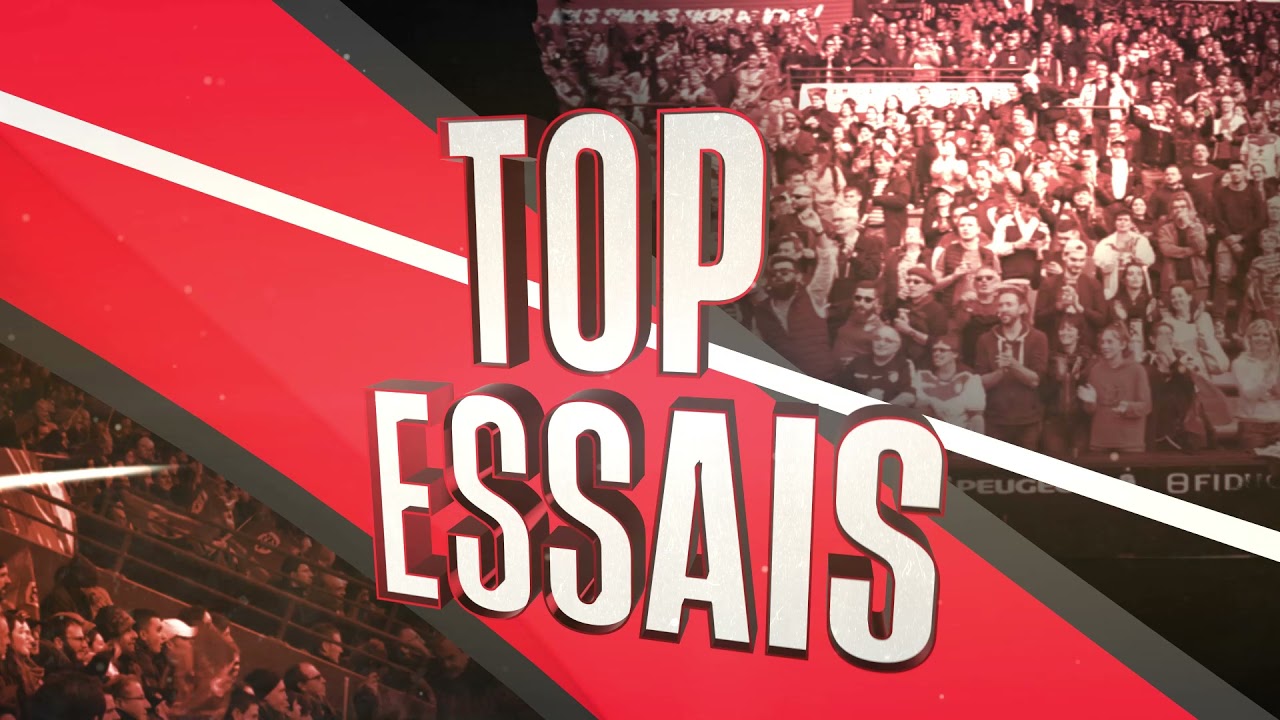 Top 5 essais