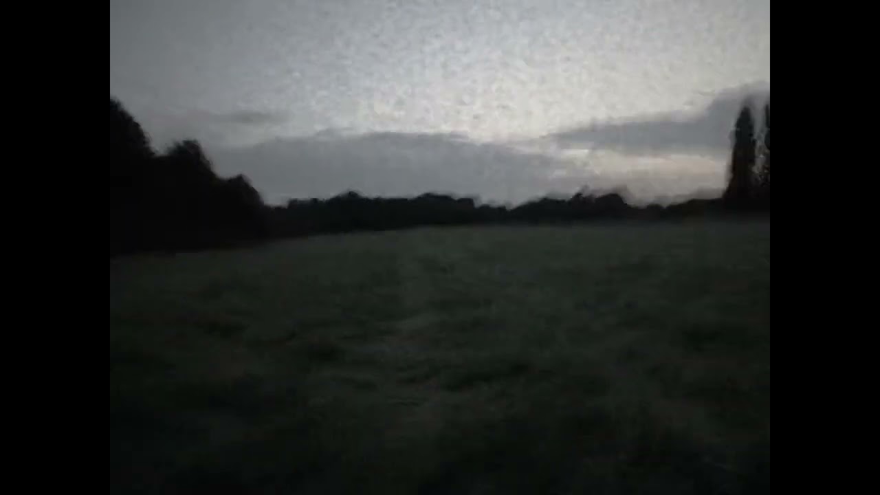 September alone (8d)